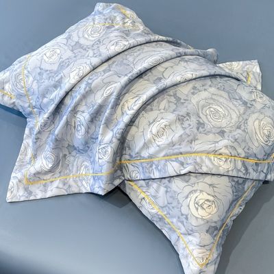 Nationale Normen Farbfestigkeit Eisklasse Seiden Bettwäsche Set Bettdeckel für 2,0m Bett