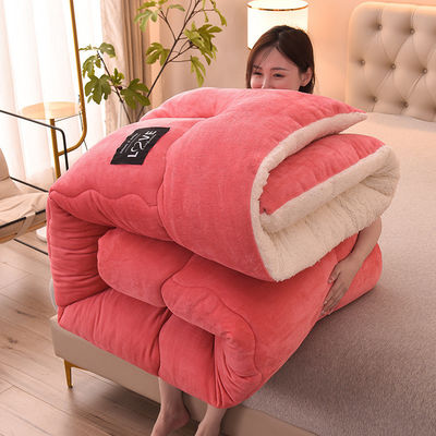 Four Seasons Universal Down Alternative Quilted Comforter Decke Einfügen für die ganze Saison