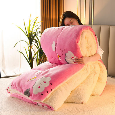 100% Polyester All-Season kundenspezifisches warmes Lammfleece Quilt Komfort Bettwäsche Set